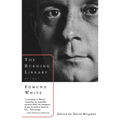 The Burning Library: Essays