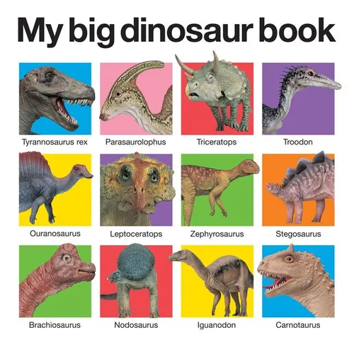 My Big Dinosaur Book