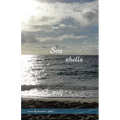 Seashells