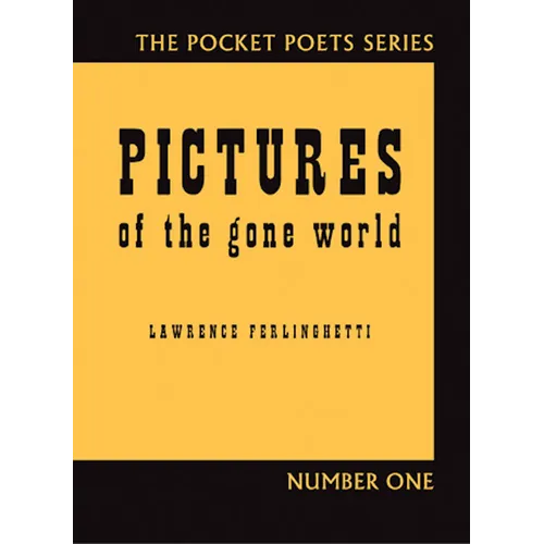 Pictures of the Gone World - Paperback