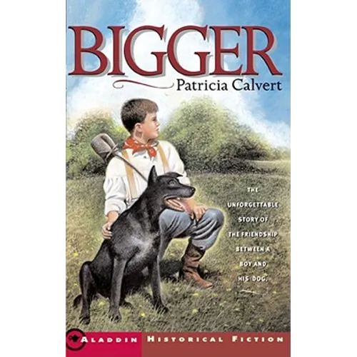 Bigger - Paperback