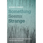 Something Seems Strange: Critical Essays on Christianity, Public Policy, and Contemporary Culture - Paperback