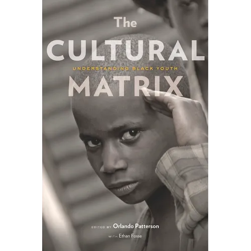 The Cultural Matrix: Understanding Black Youth - Paperback