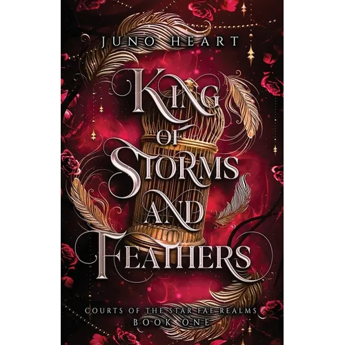 King of Storms and Feathers: A Dark Fae Fantasy Romance - Paperback