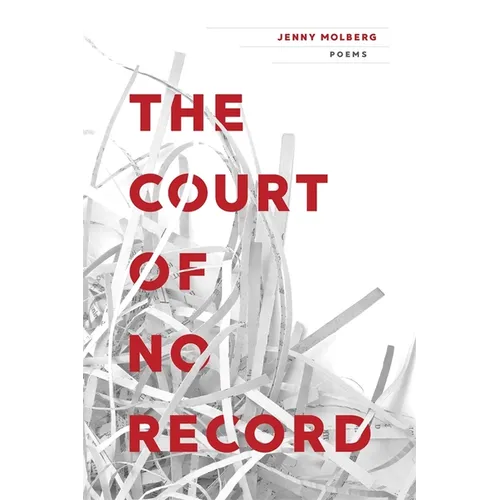 Court of No Record: Poems - Paperback