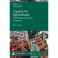 Litigating the Right to Health: Courts, Politics, and Justice in Indonesia