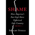 Shame: How America's Past Sins Have Polarized Our Country