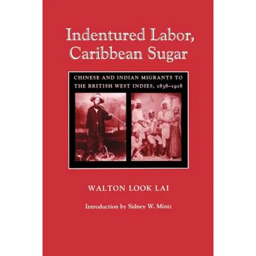 Indentured Labor, Caribbean Sugar: Chinese and Indian Migrants to the British West Indies, 1838-1918 - Paperback