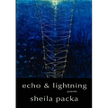 Echo & Lightning