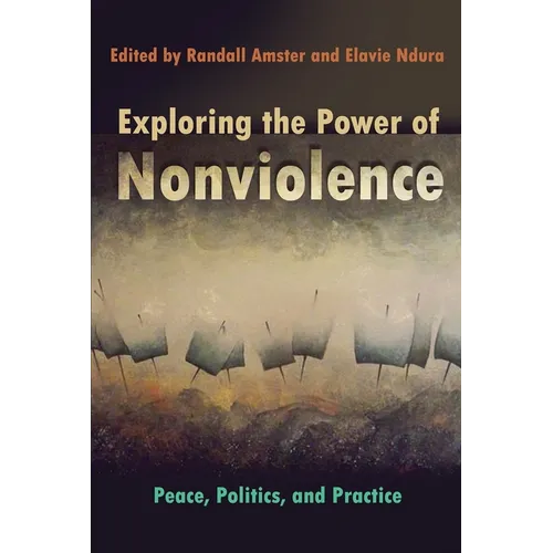Exploring the Power of Nonviolence: Peace, Politics, and Practice - Paperback