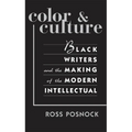 Color and Culture: Black Writers and the Making of the Modern Intellectual