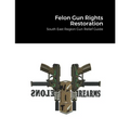 Felon Gun Rights Restoration: South East Region Gun Relief Guide