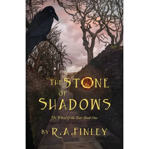 The Stone of Shadows - Paperback