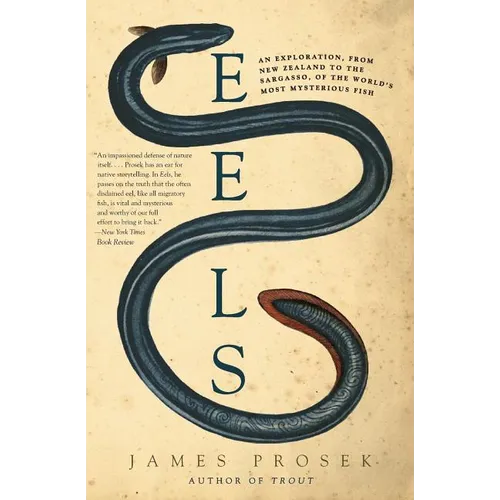 Eels: An Exploration, from New Zealand to the Sargasso, of the World's Most Mysterious Fish - Paperback