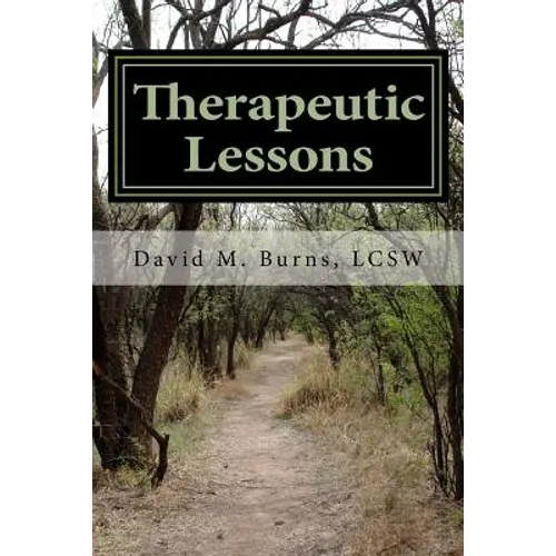 Therapeutic Lessons: An Introduction to Working with Clients with Serious and Persistent Mental Illness - Paperback