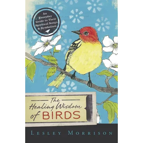 Healing Wisdom of Birds: An Everyday Guide to Their Spiritual Songs & Symbolism - Paperback