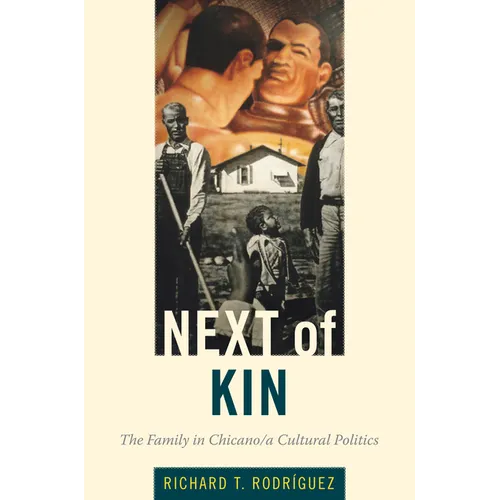 Next of Kin: The Family in Chicano/a Cultural Politics - Paperback